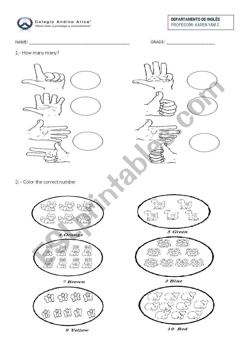 Colosr and numbers worksheet