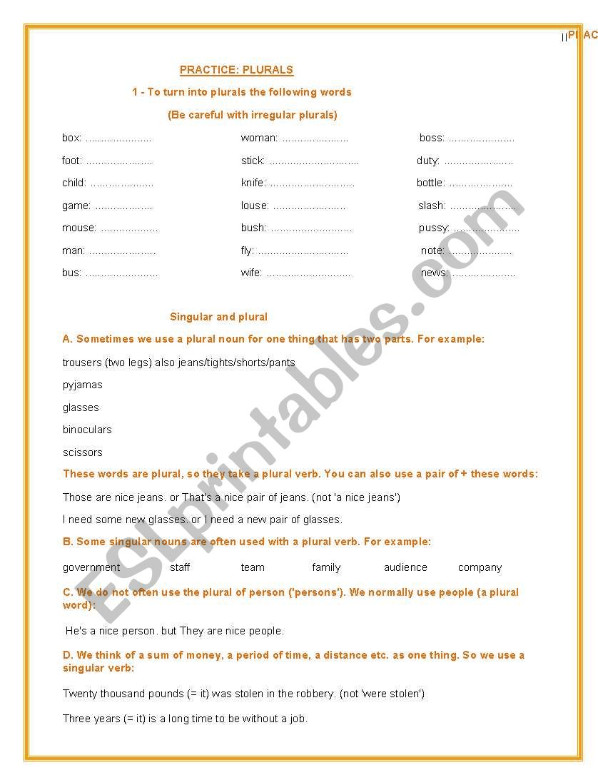 practice plurals worksheet