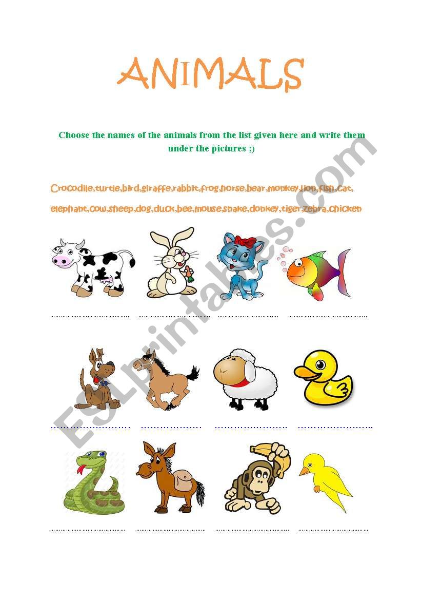 ANIMALS worksheet