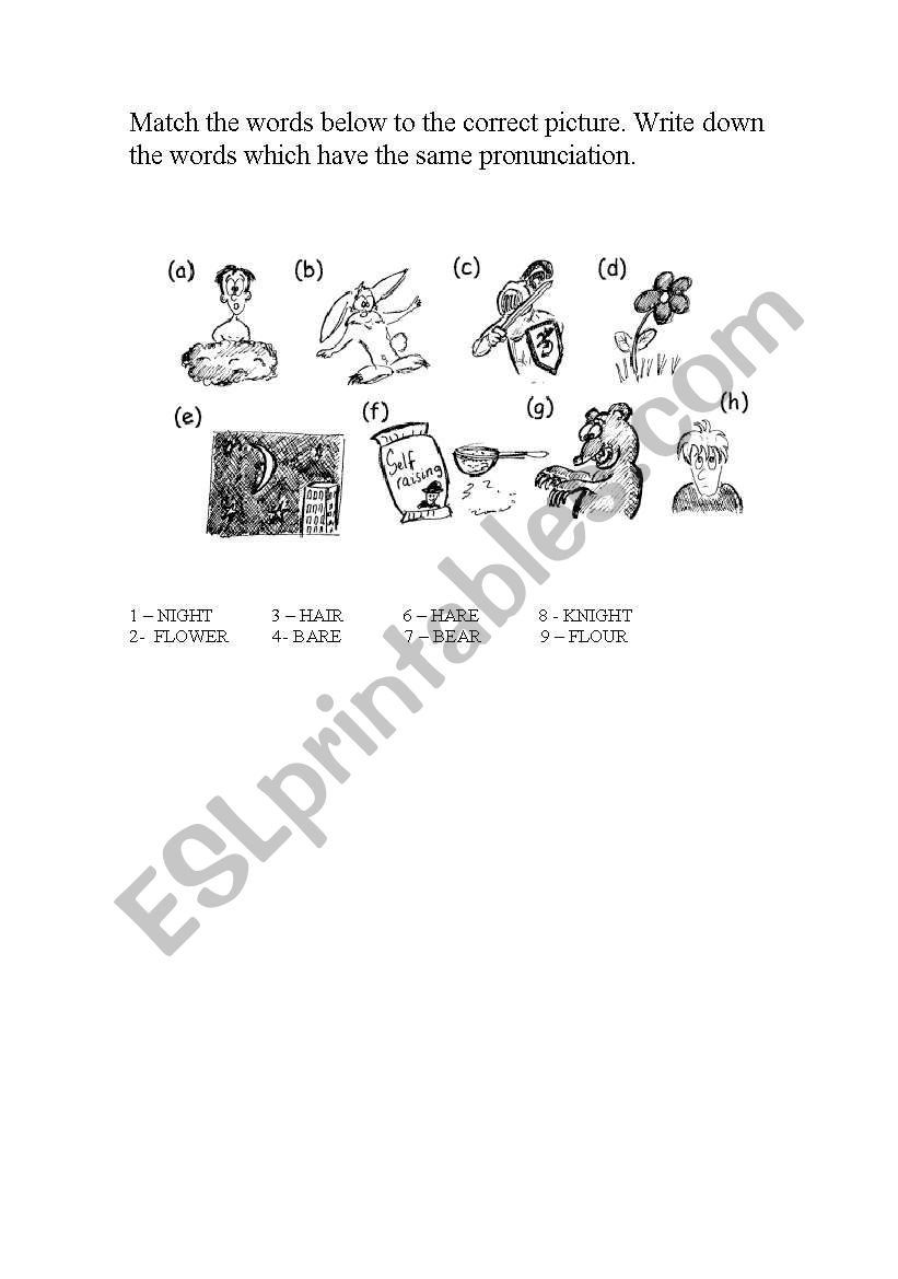 HOMOPHONES worksheet