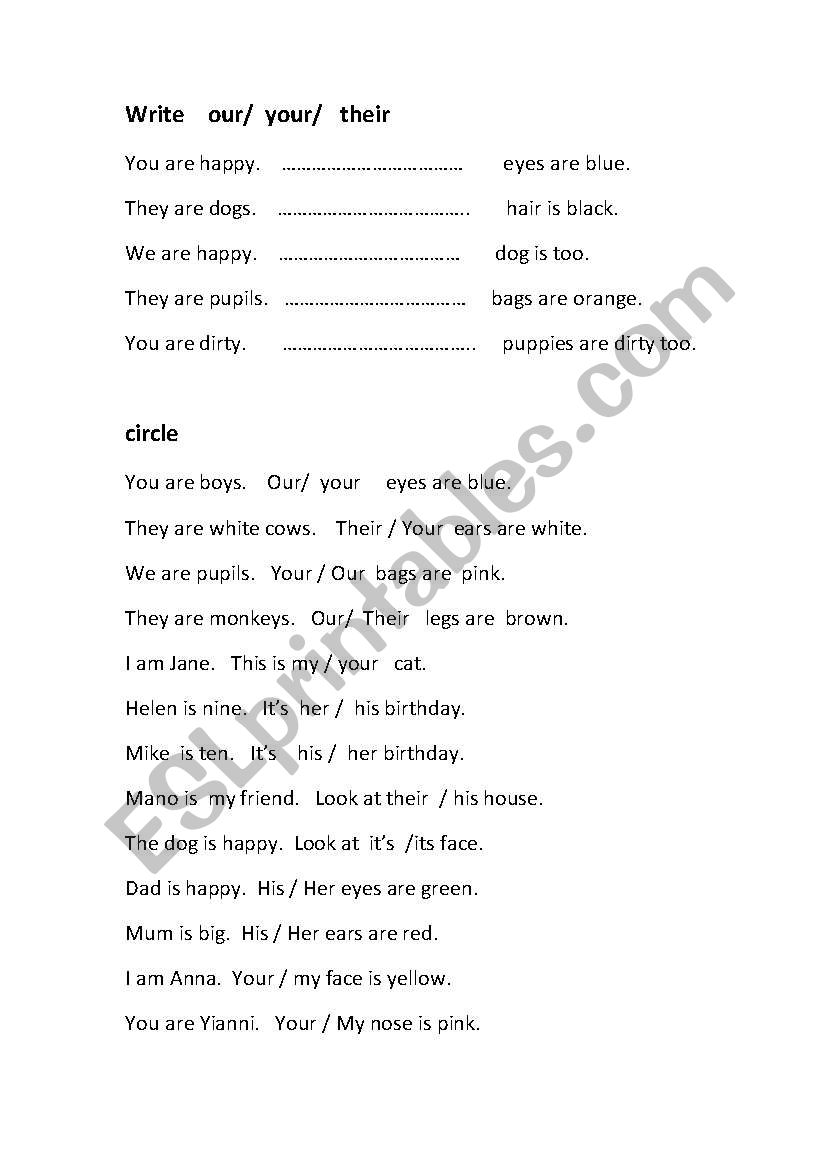 possessive adjectives worksheet