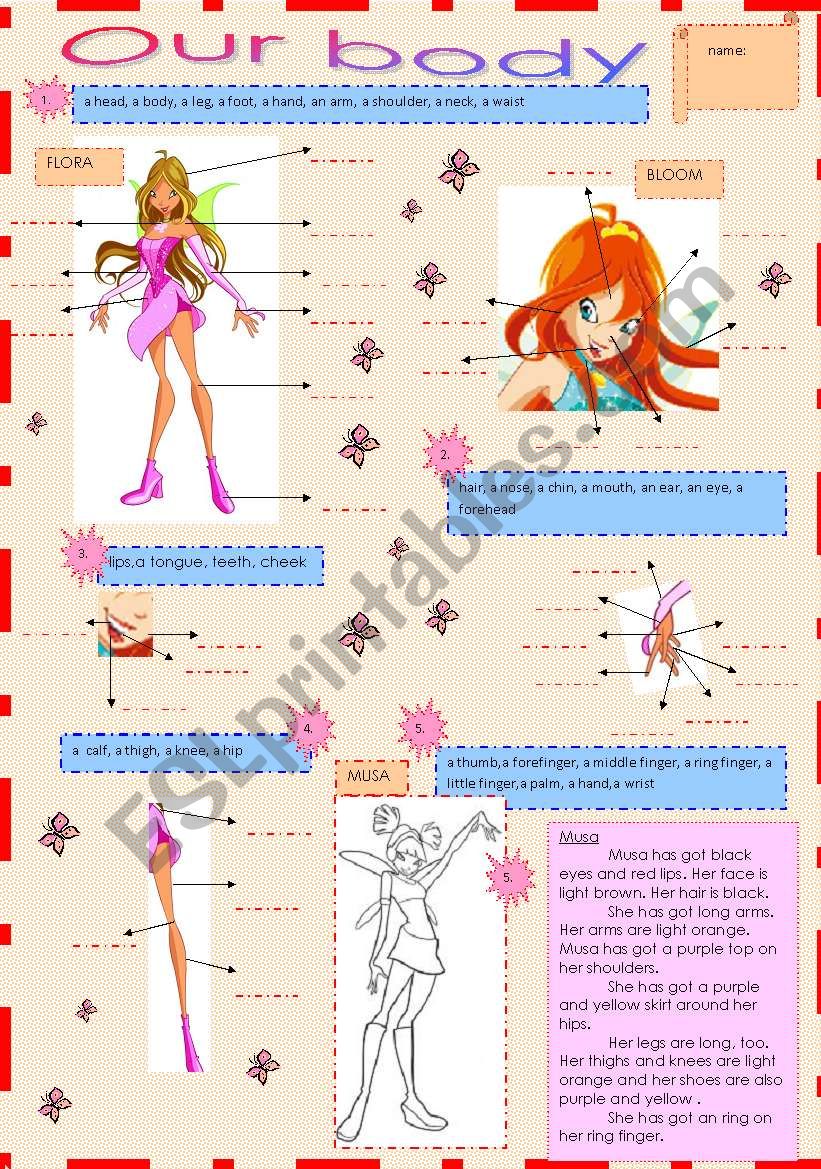 our body worksheet