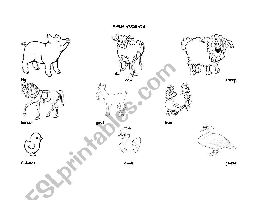 farm animals worksheet