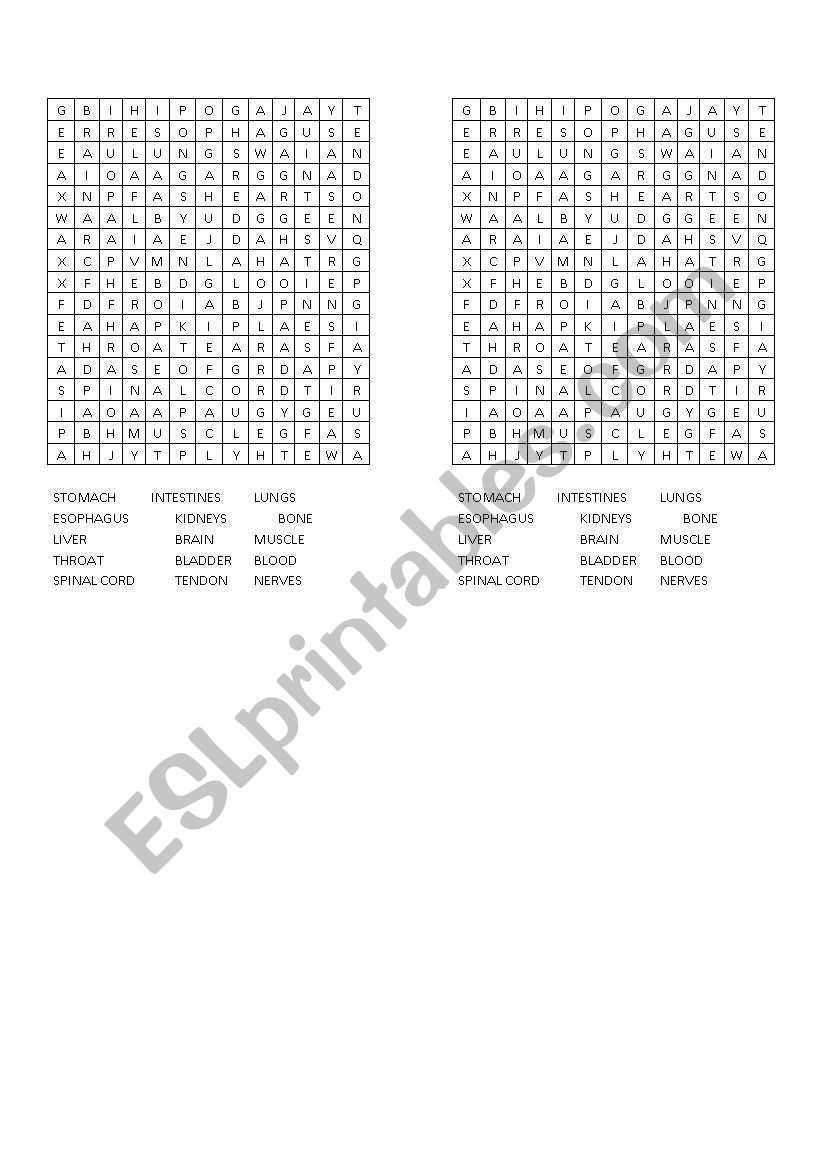 INTERNAL BODY ORGANS worksheet