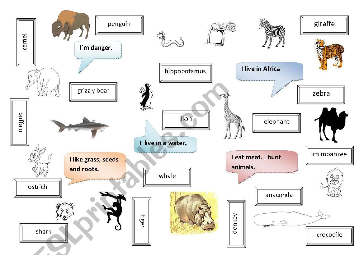 Animals of the world worksheet