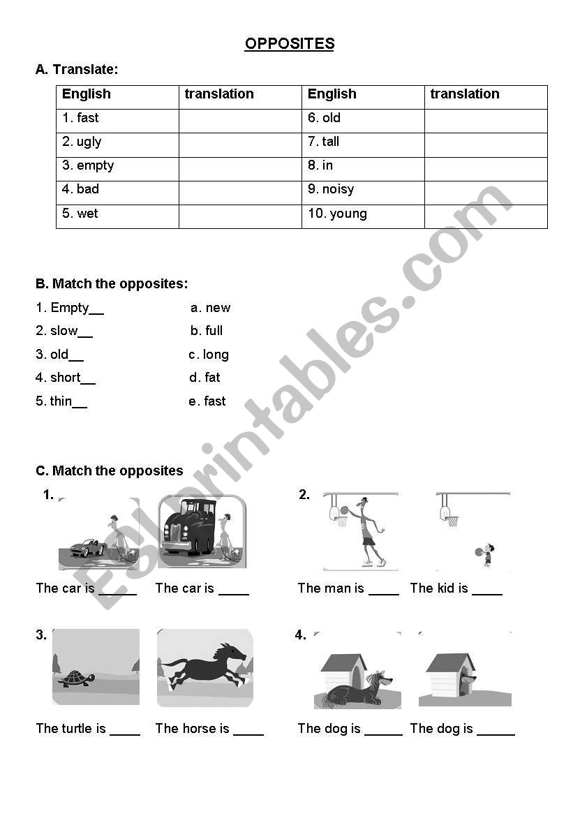 opposites worksheet