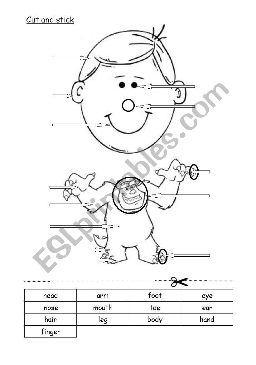 body and face parts worksheet