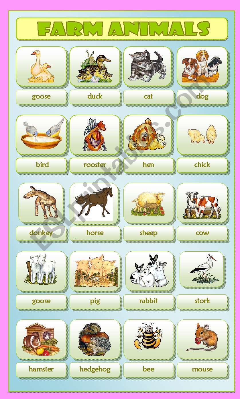 Farm Animals worksheet