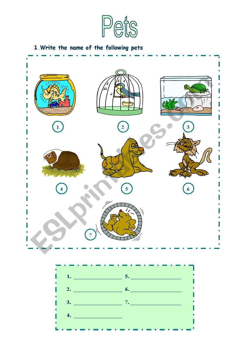 Pets worksheet