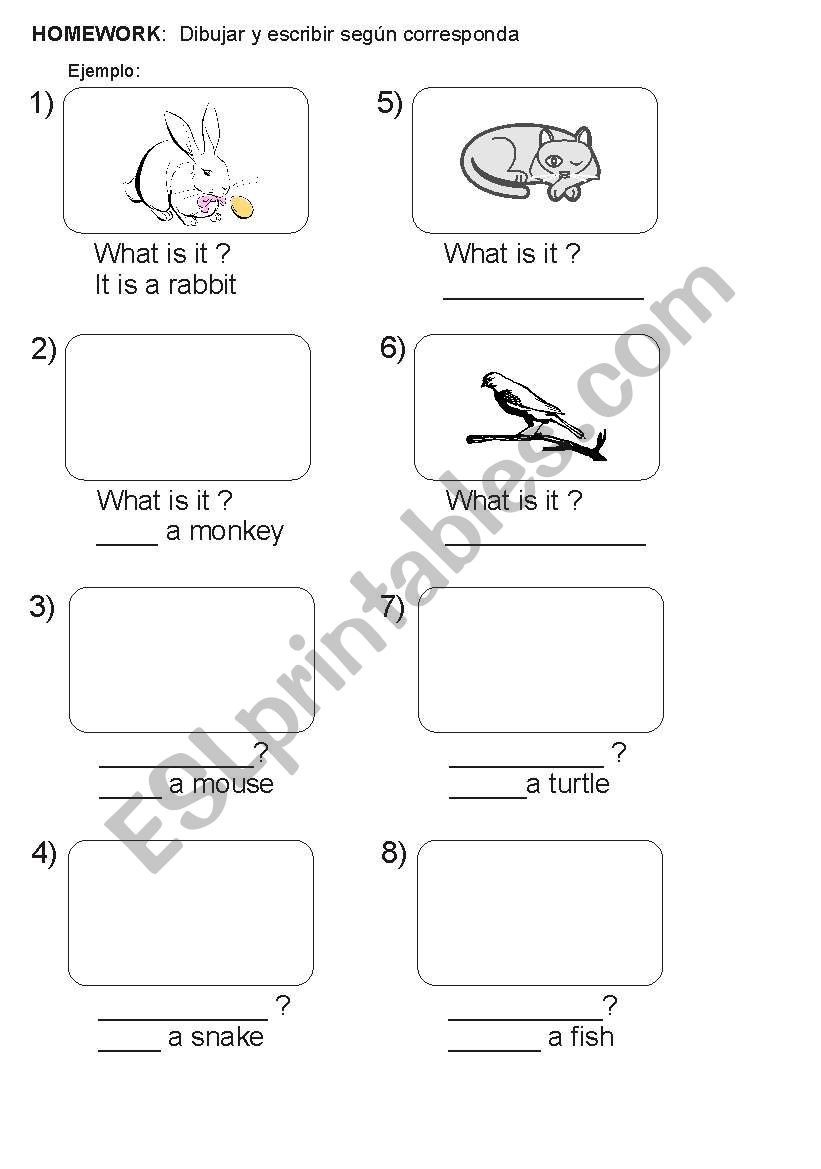 What is it? worksheet