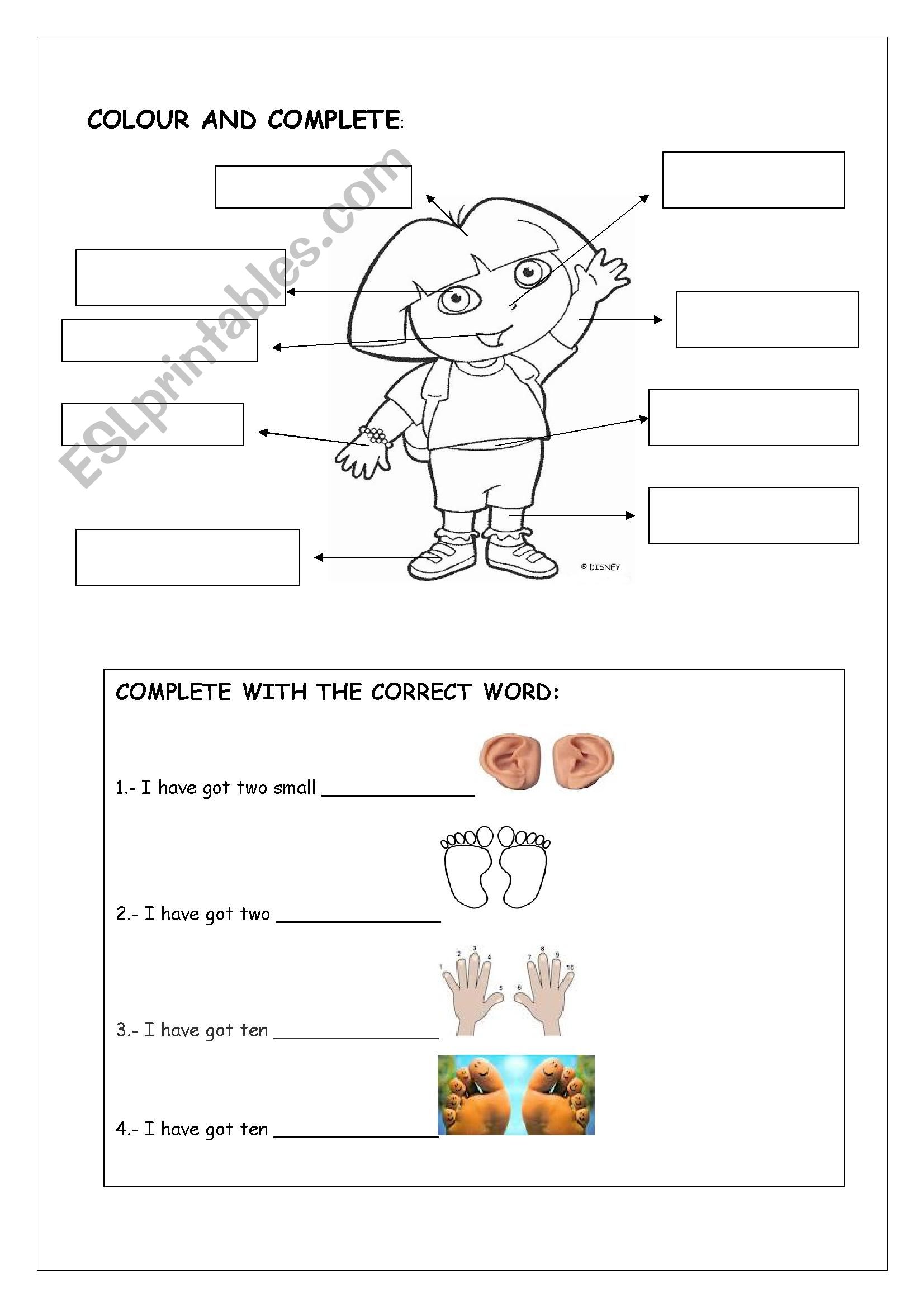 BODY PARTS WITH DORA worksheet