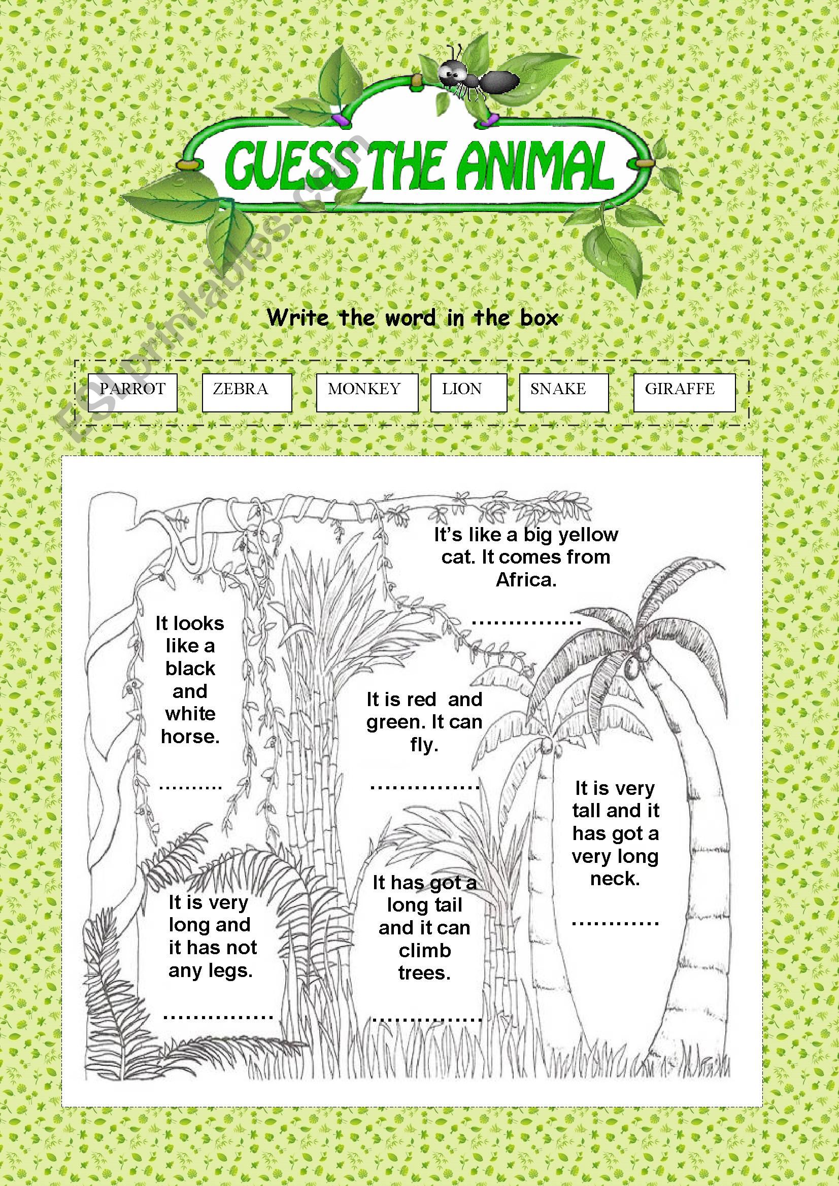 WRITE THE NAME worksheet