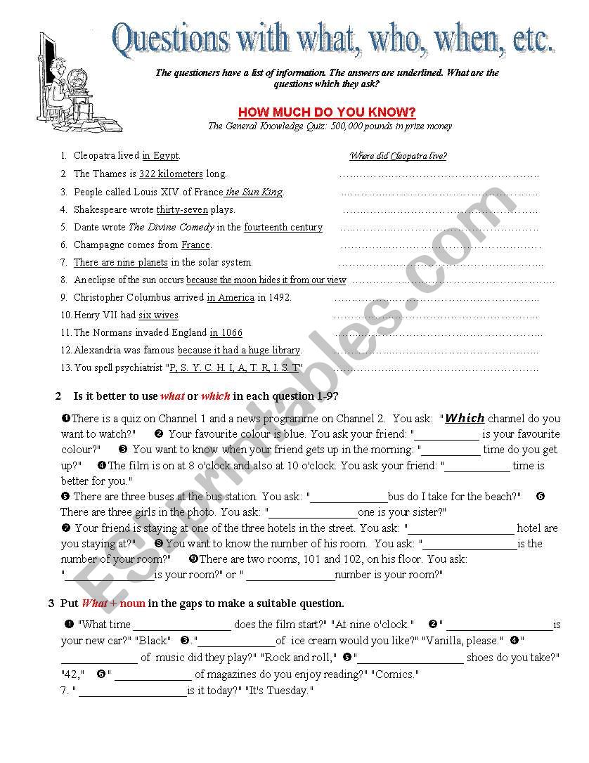 Questions word exercise worksheet