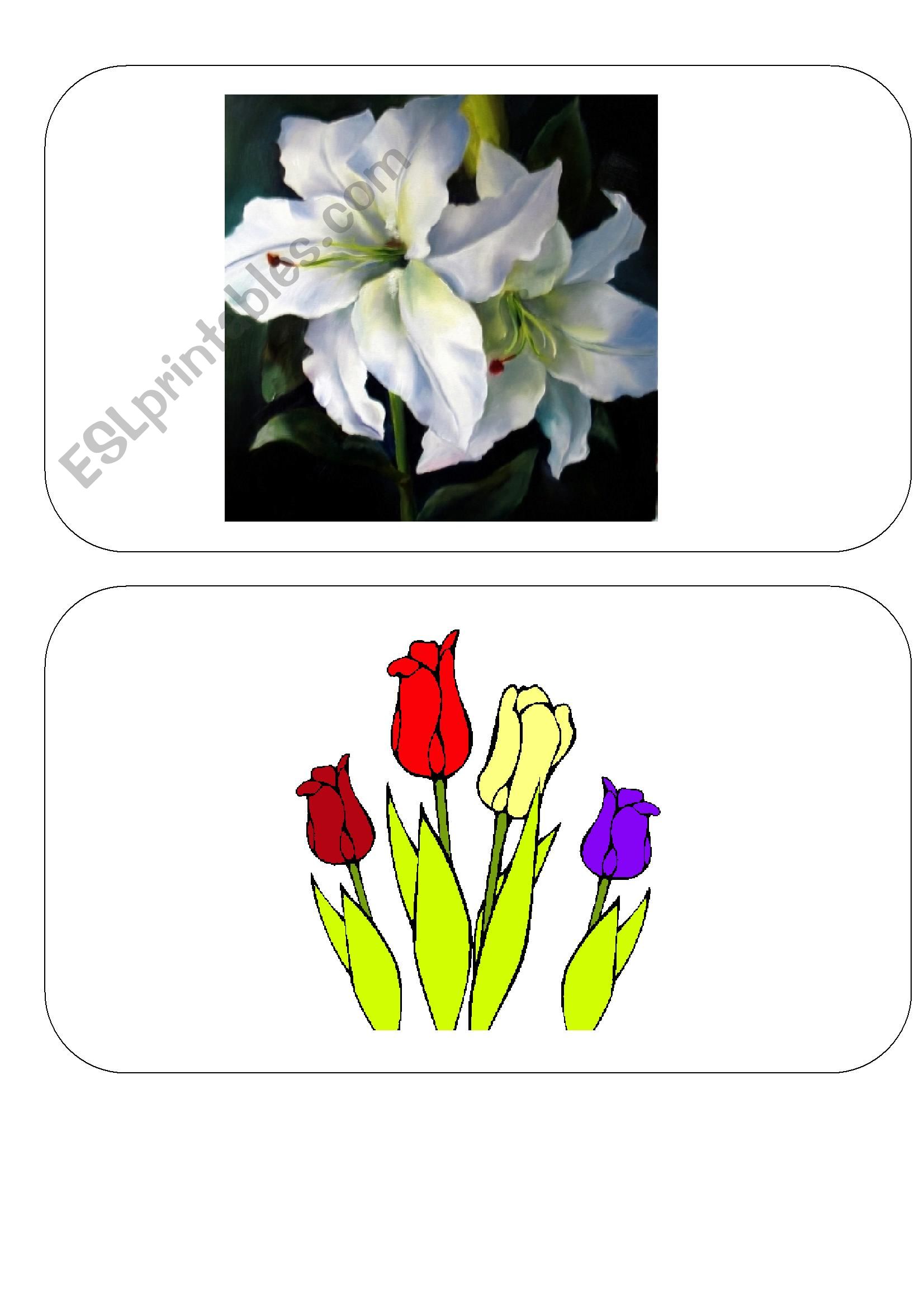 Easter FLASH CARDS- SET 4 of 4