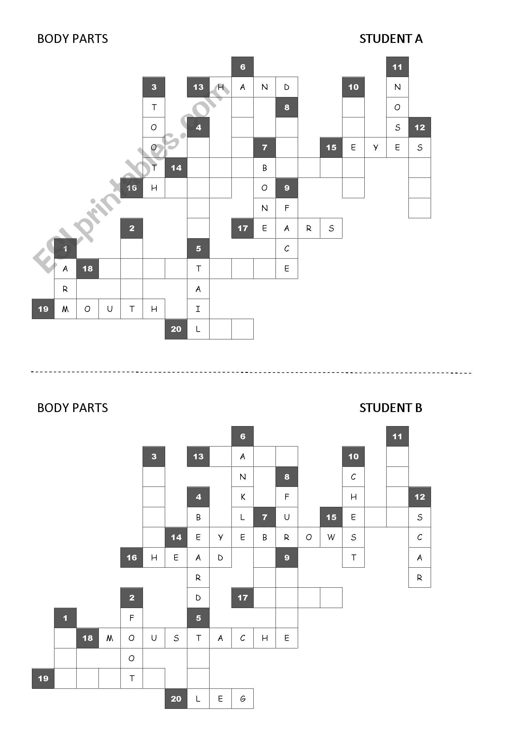 Body parts -> pair work crossword