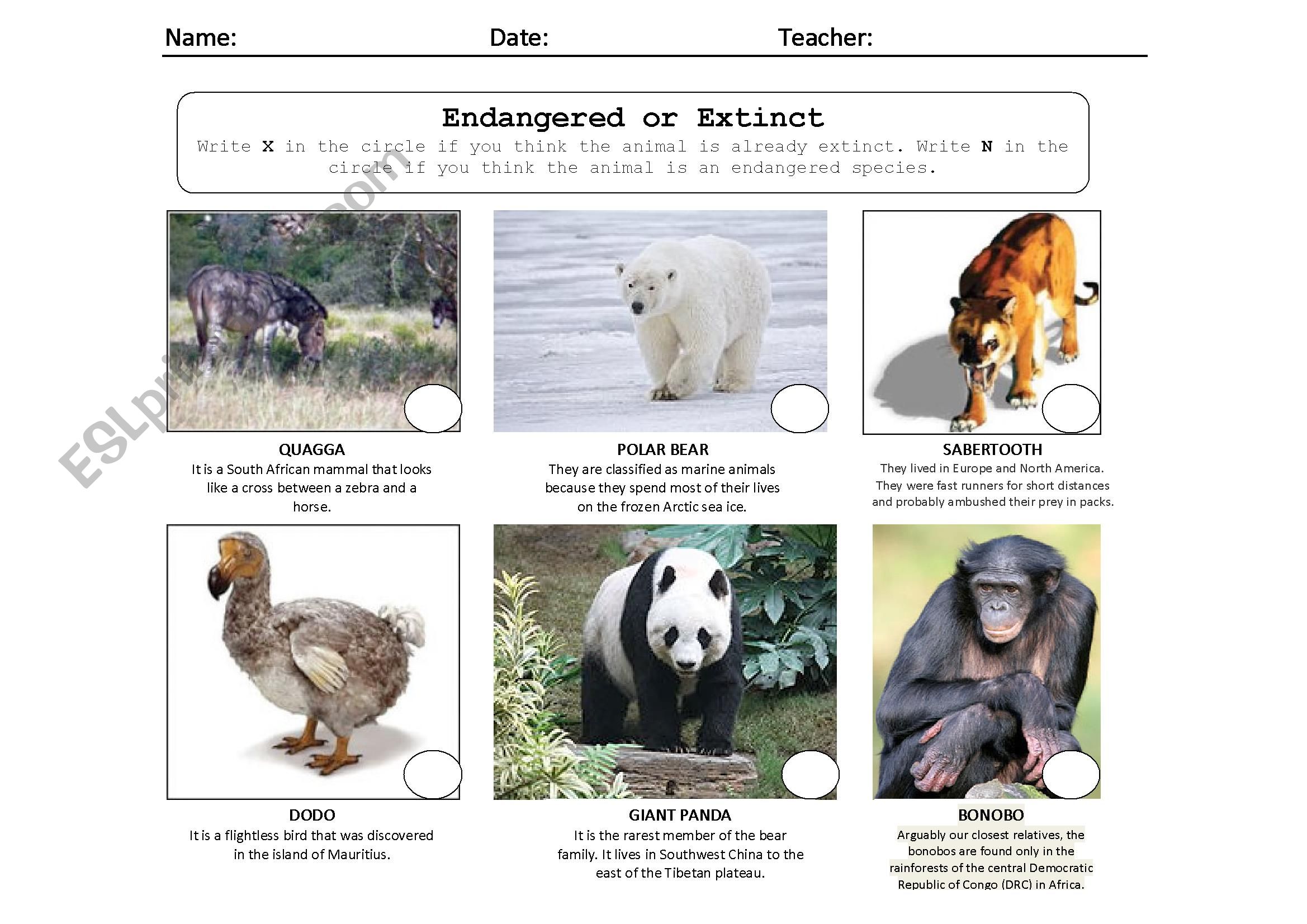 Endangered or Extinct worksheet