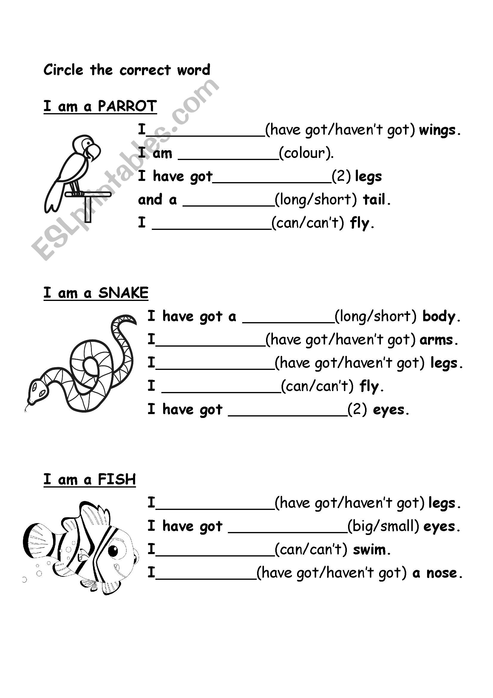 ANIMALS worksheet