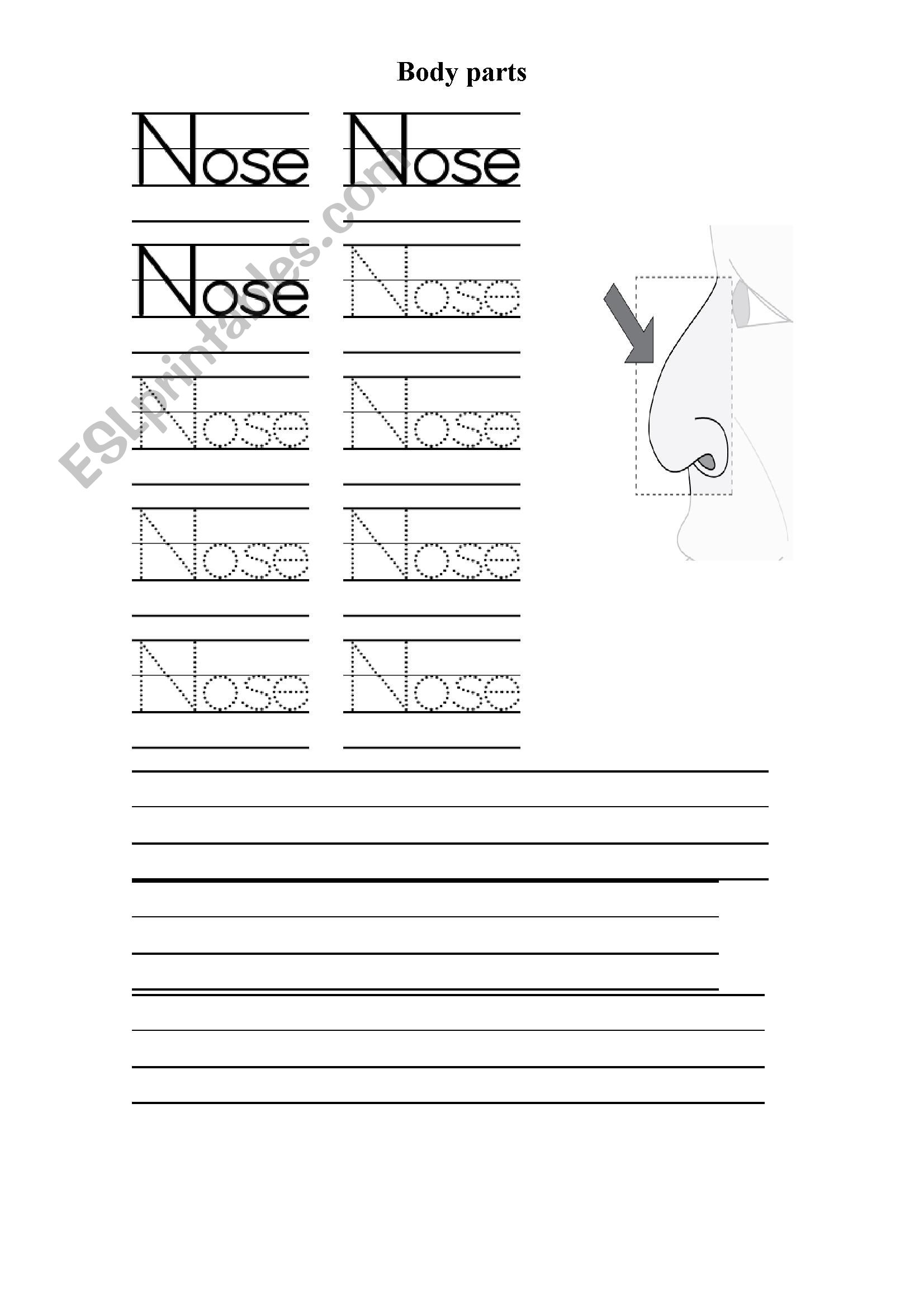 Body parts worksheet