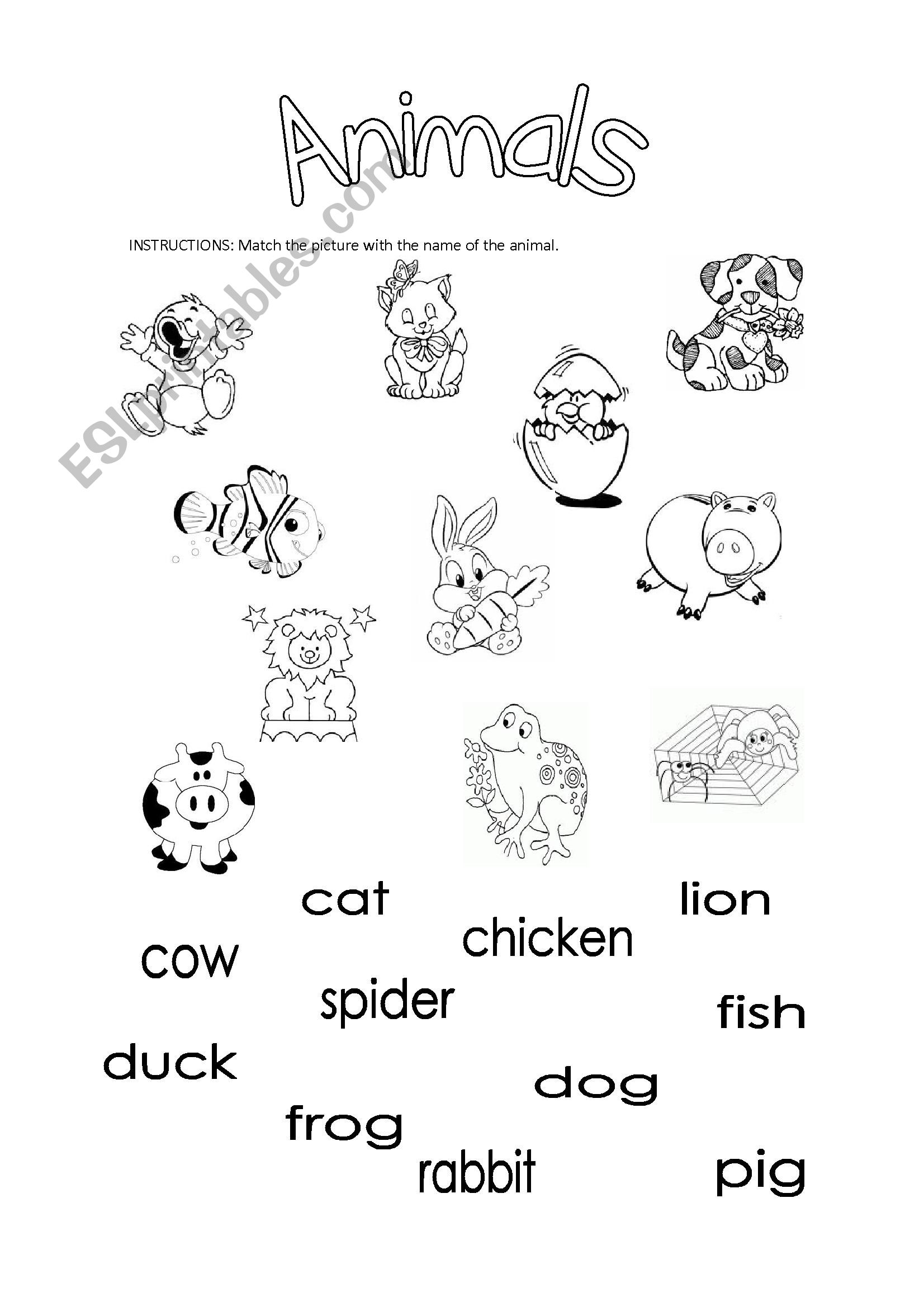 animals  worksheet