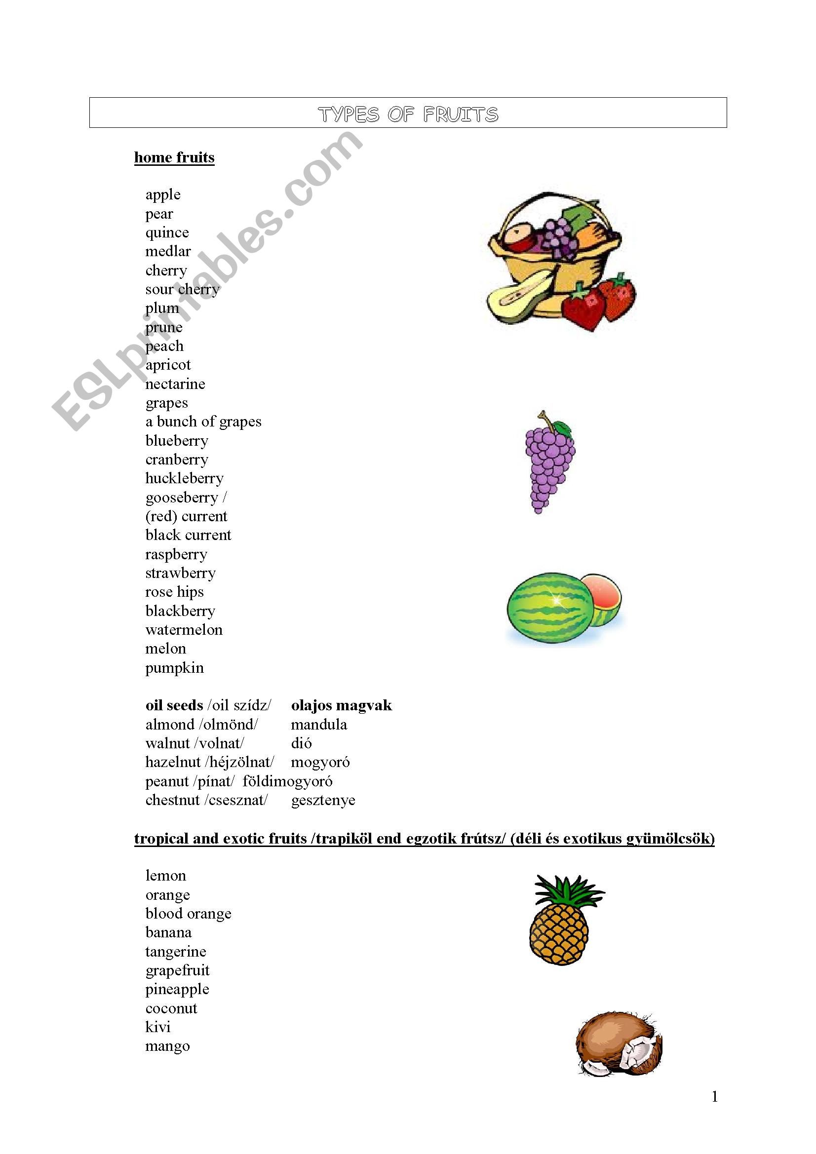 Fruits worksheet