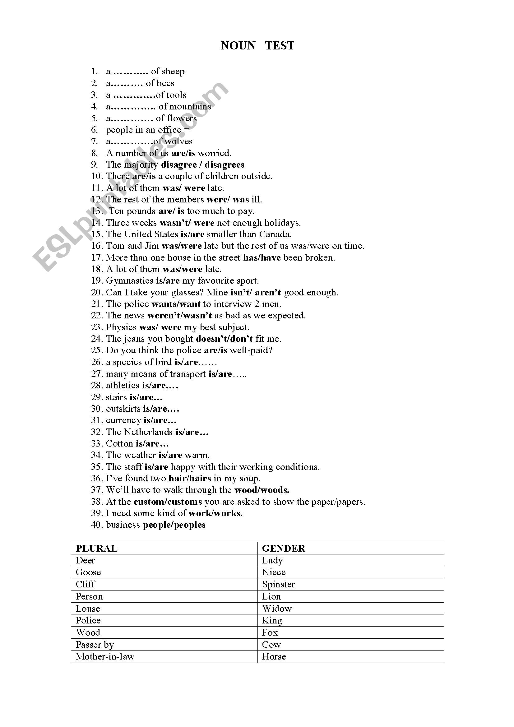 noun ex worksheet