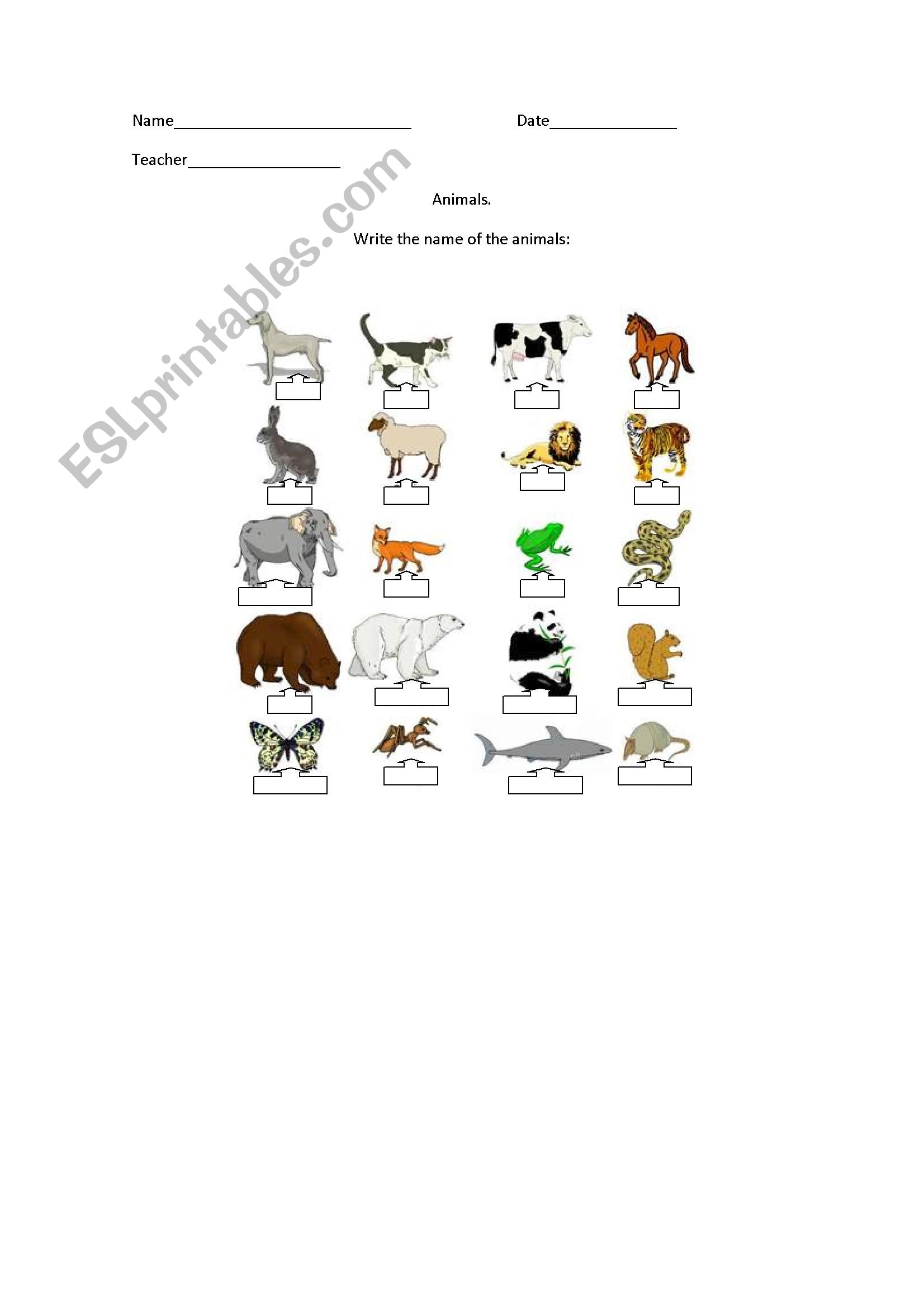 Animals worksheet