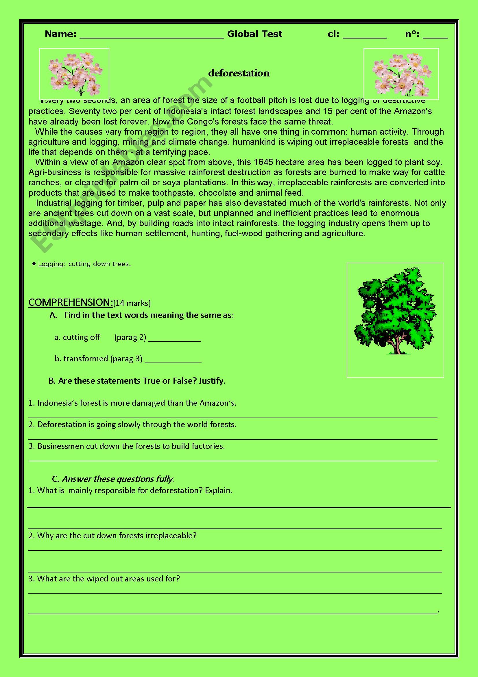 deforestation worksheet