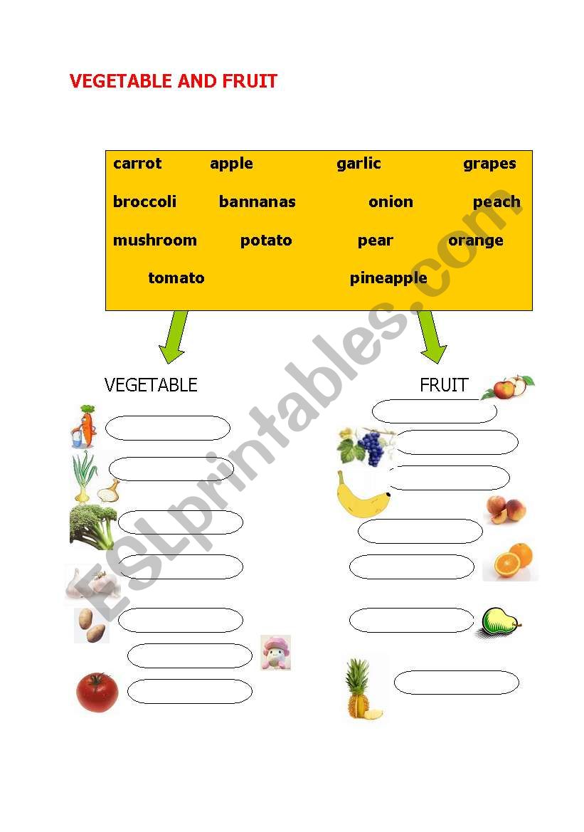 vegetable and fruit worksheet
