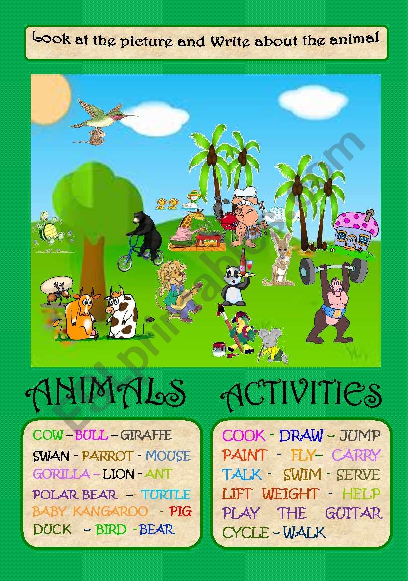 ANIMALS DREAM LAND   worksheet