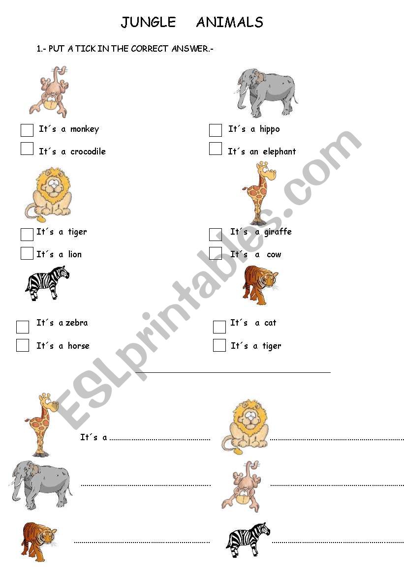 JUNGLE  ANIMALS worksheet