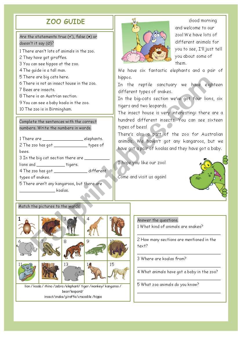 Zoo Guide worksheet