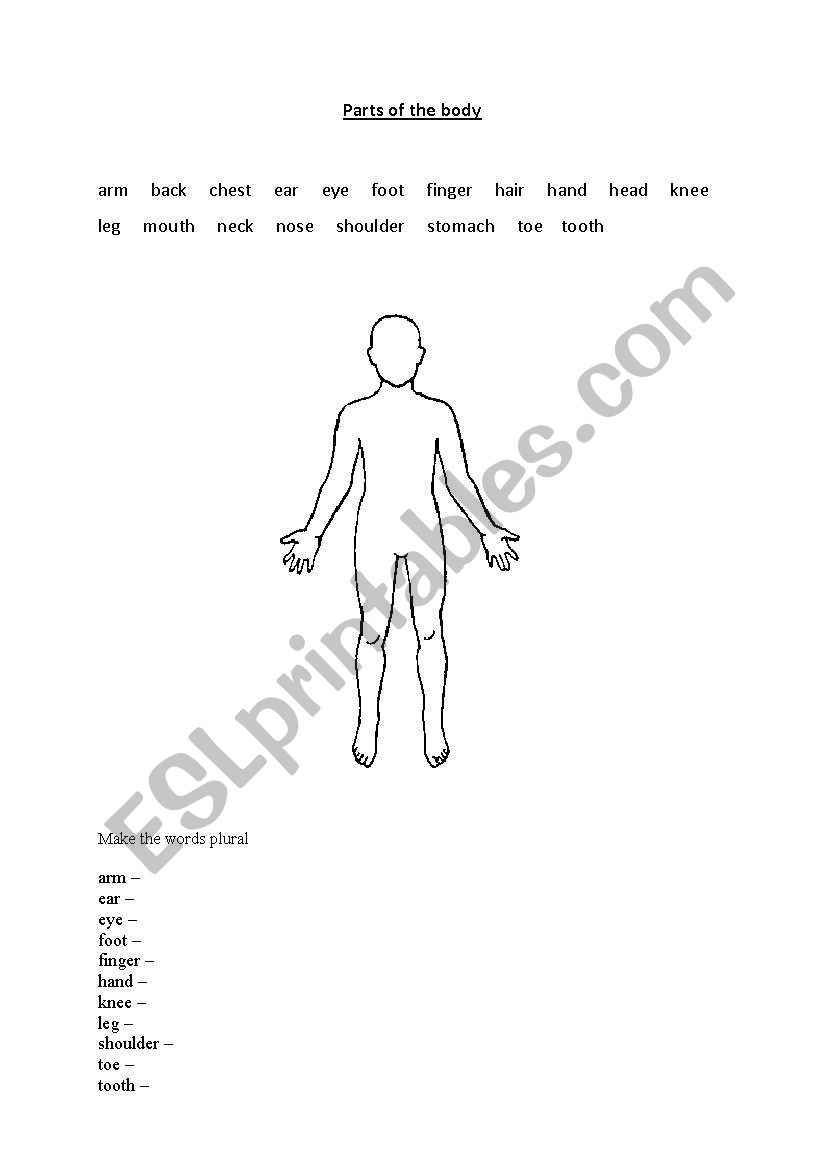 parts of the body worksheet