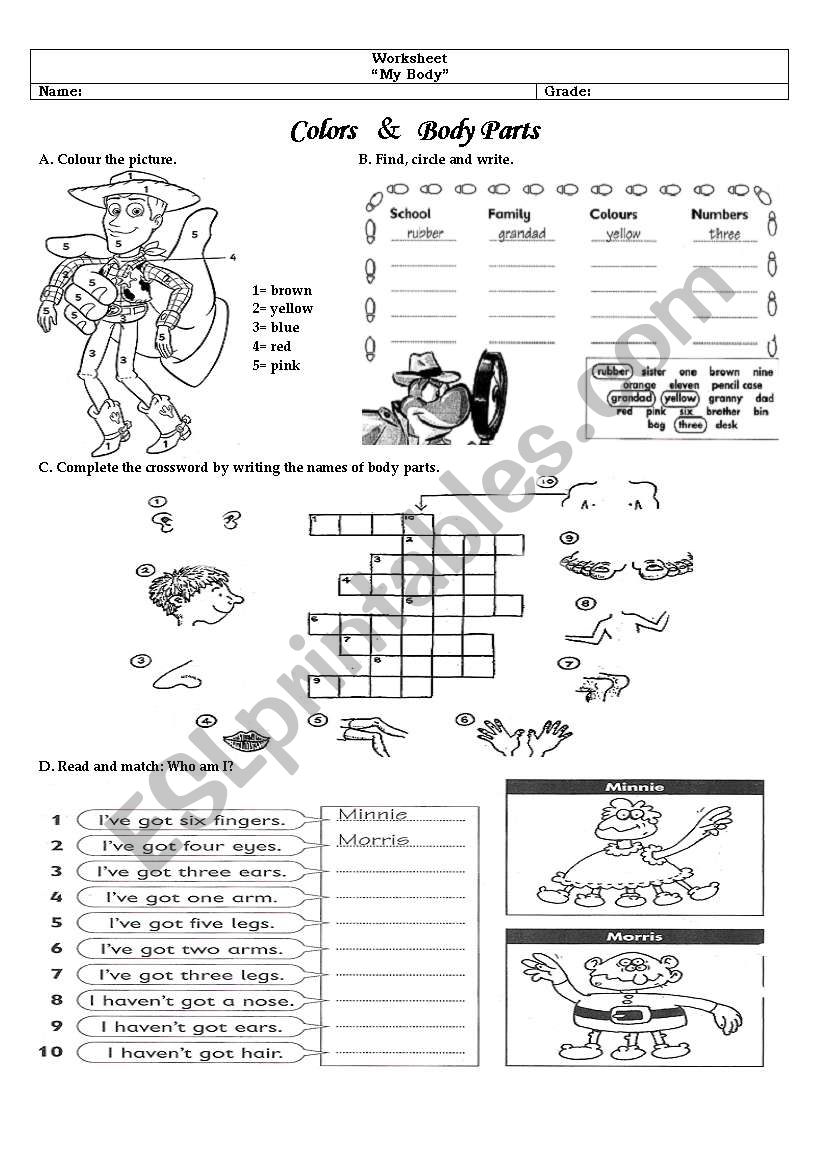 body and colors worksheet