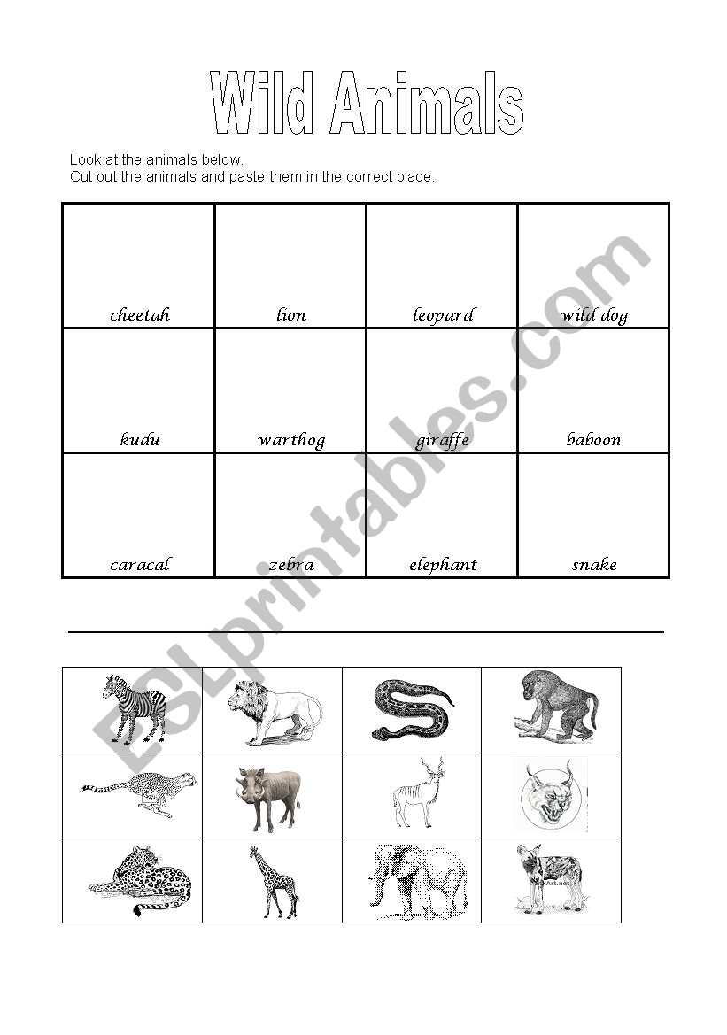 Wild Animal Pictionary worksheet