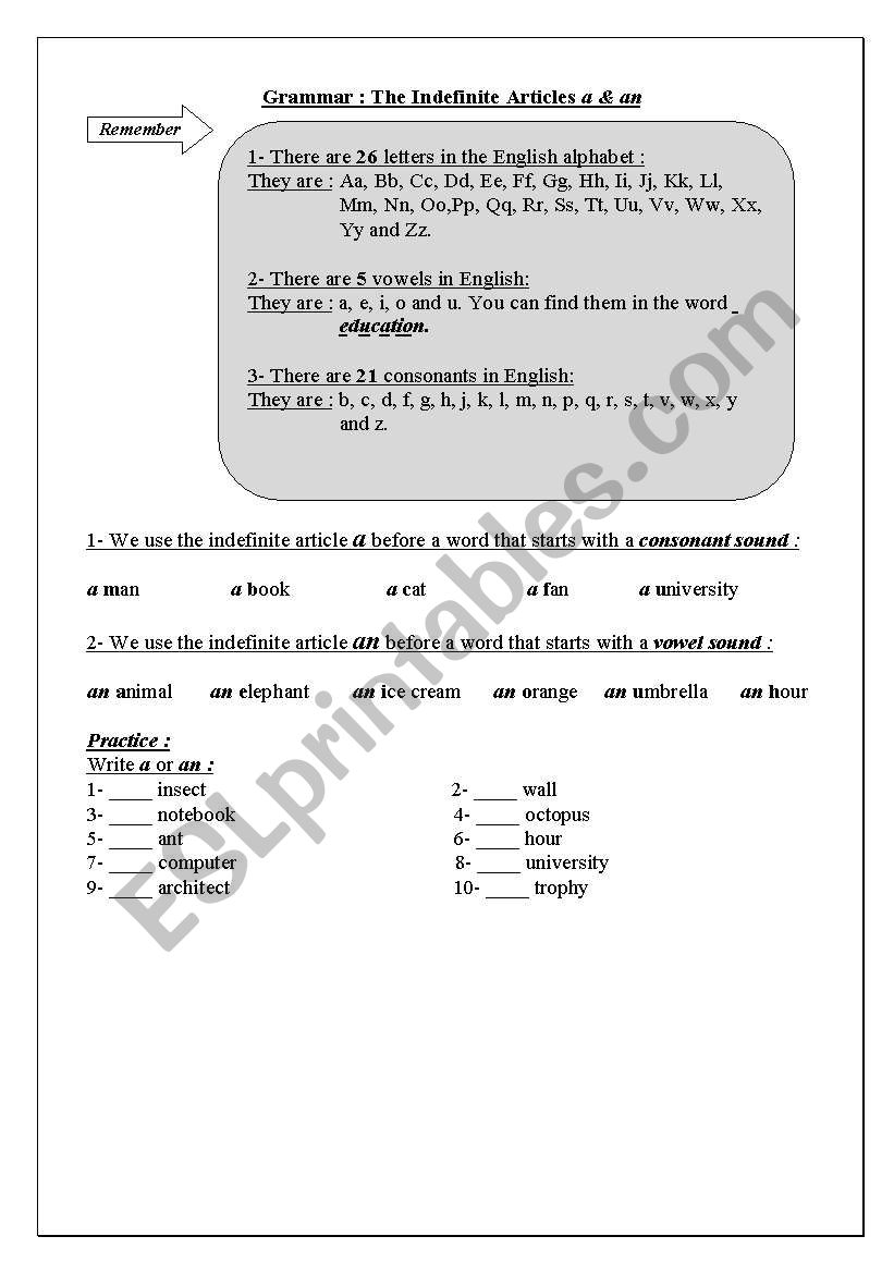 The Indefinite Articles worksheet