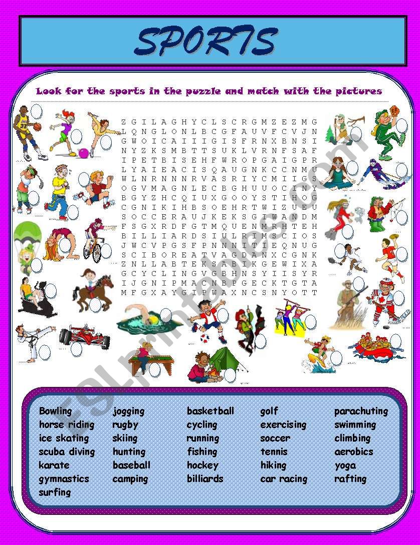 Sports vocabulary  hobbies worksheet