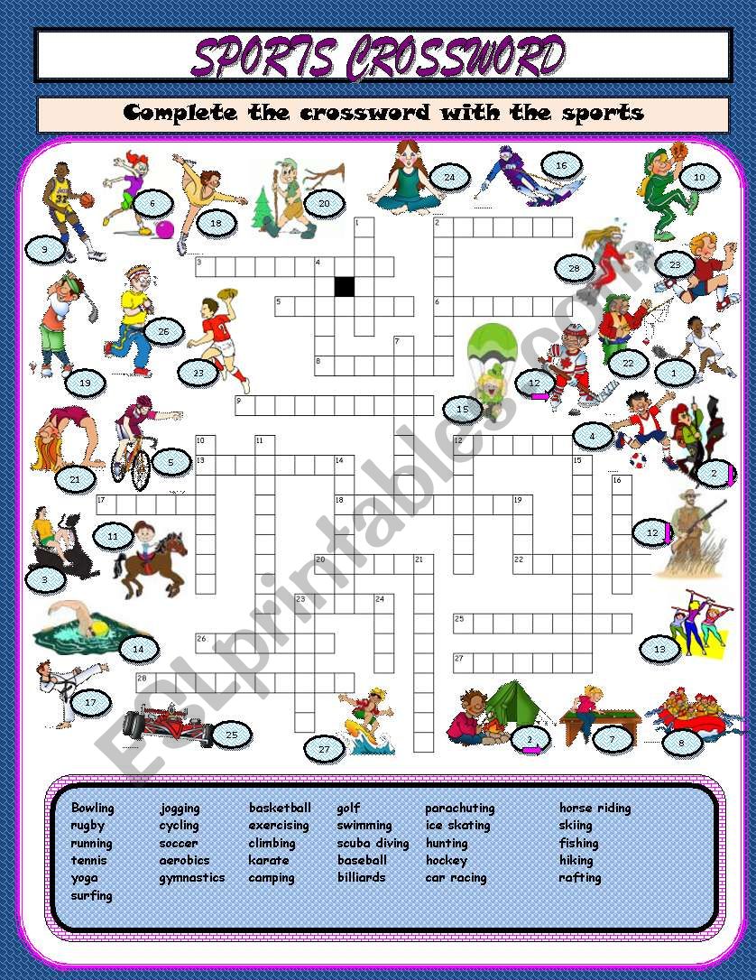 Sports crossword  worksheet