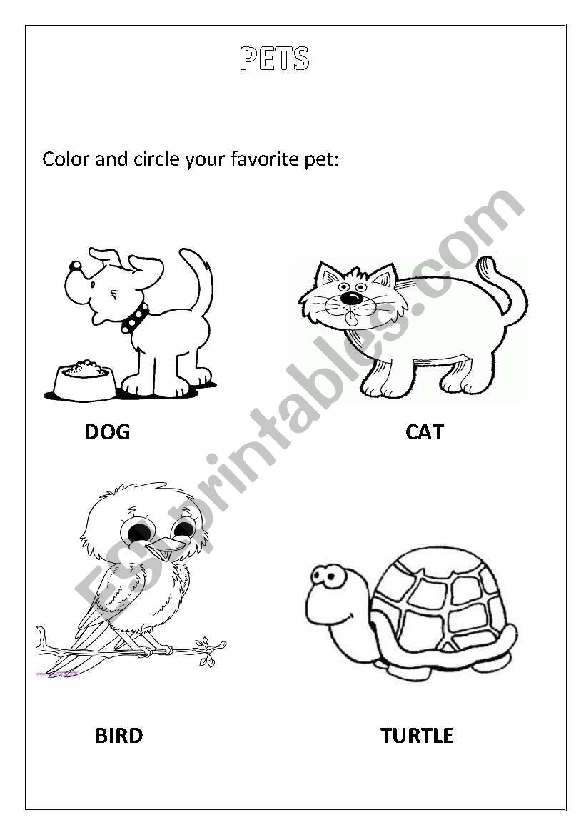 pets worksheet