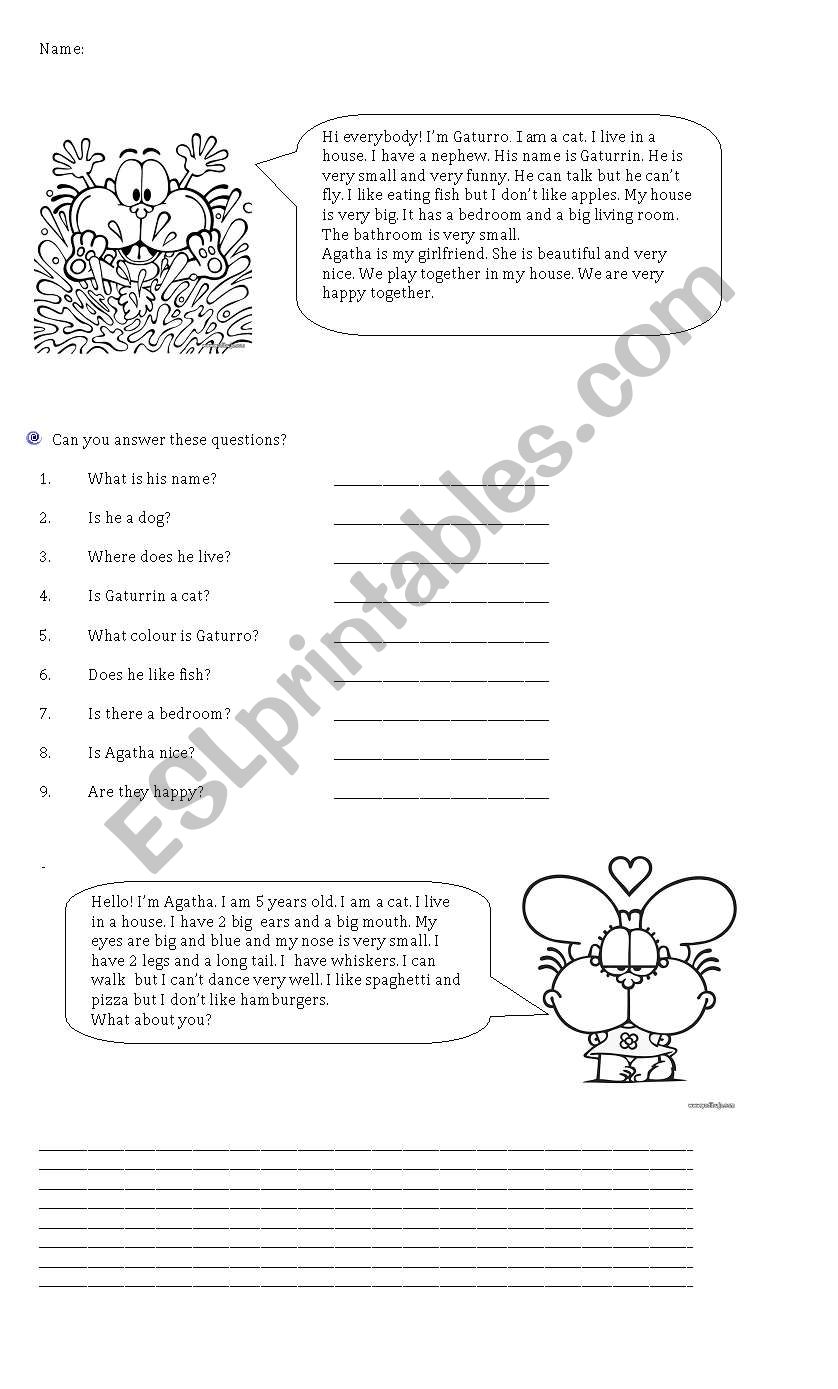 Gaturro! General Revision  worksheet