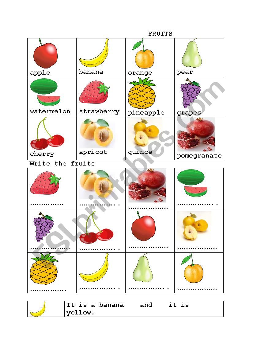 fruits worksheet