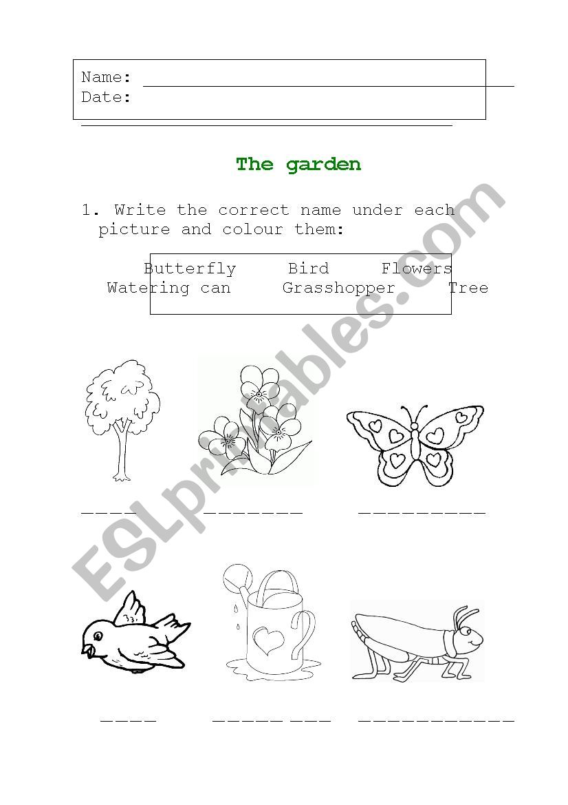 The Garden worksheet