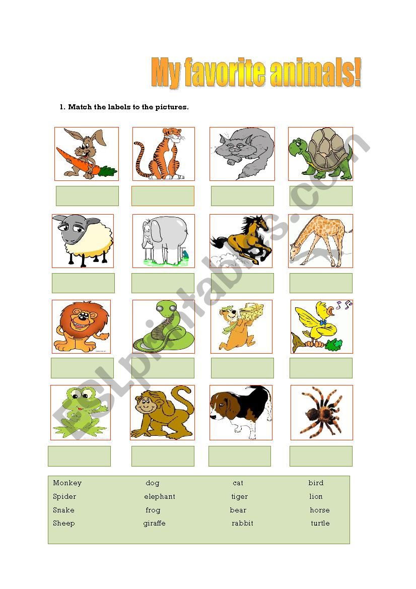 My favorite animals worksheet