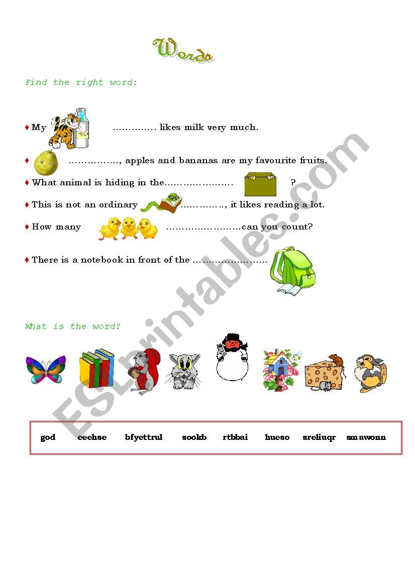 Words & Sentences worksheet