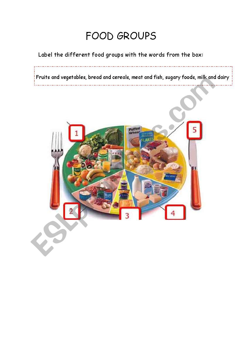Label the food groups worksheet