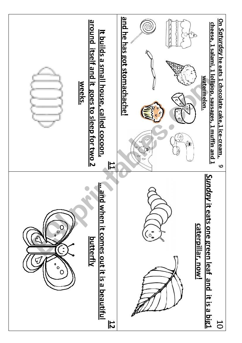 the very hungry caterpillar part 2   (2/2)