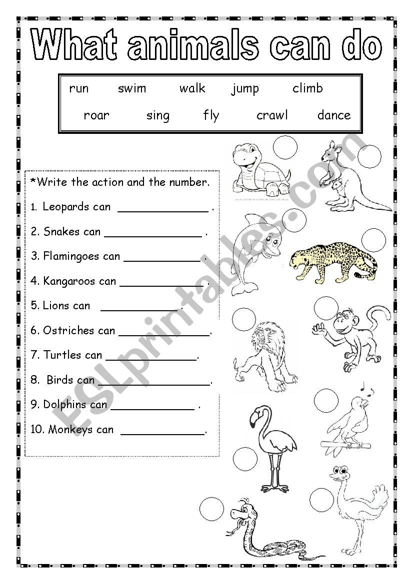 Animal Abilities worksheet