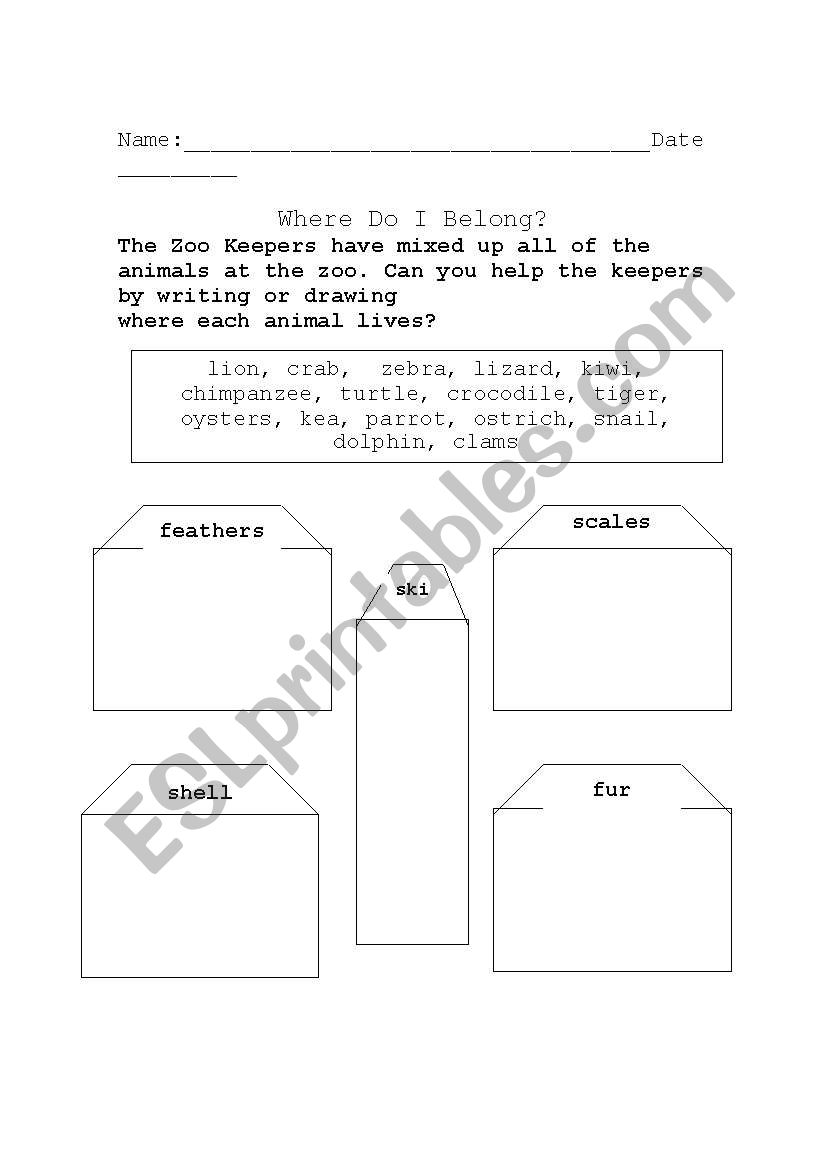 Animal Coverings worksheet