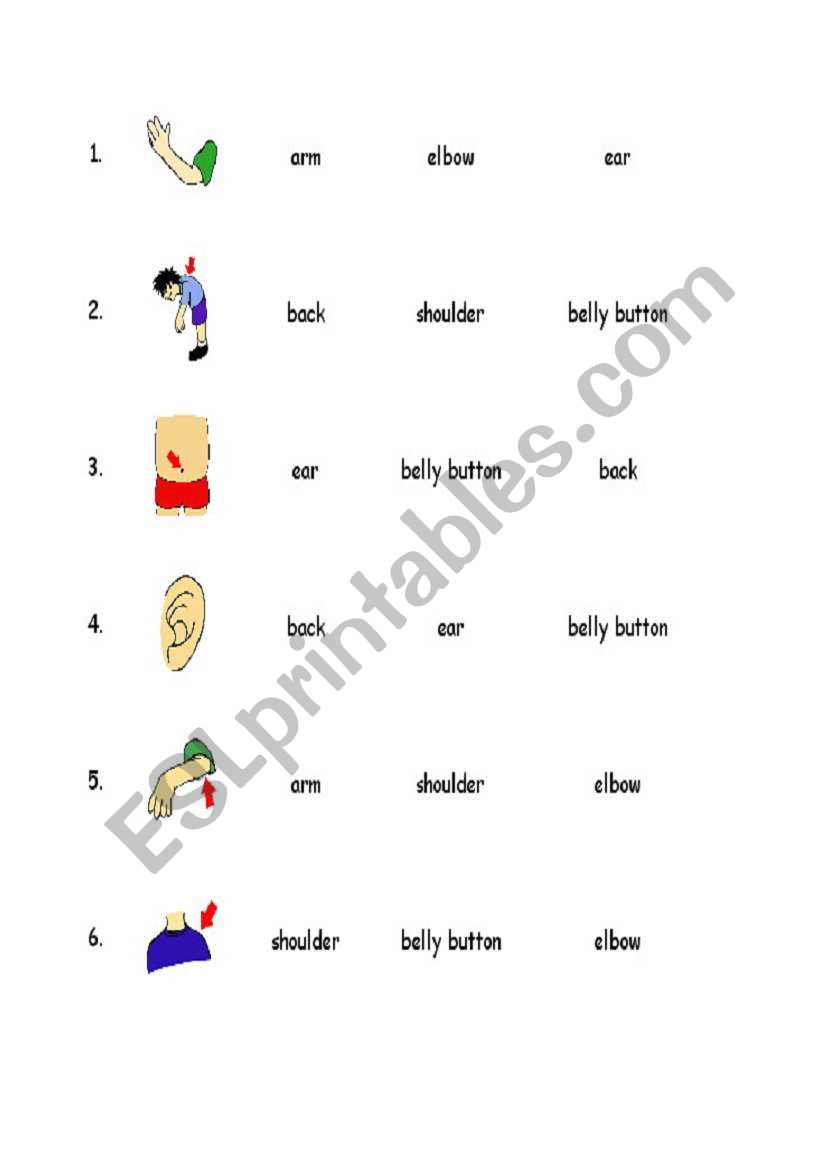 Body multiple-choice worksheet 