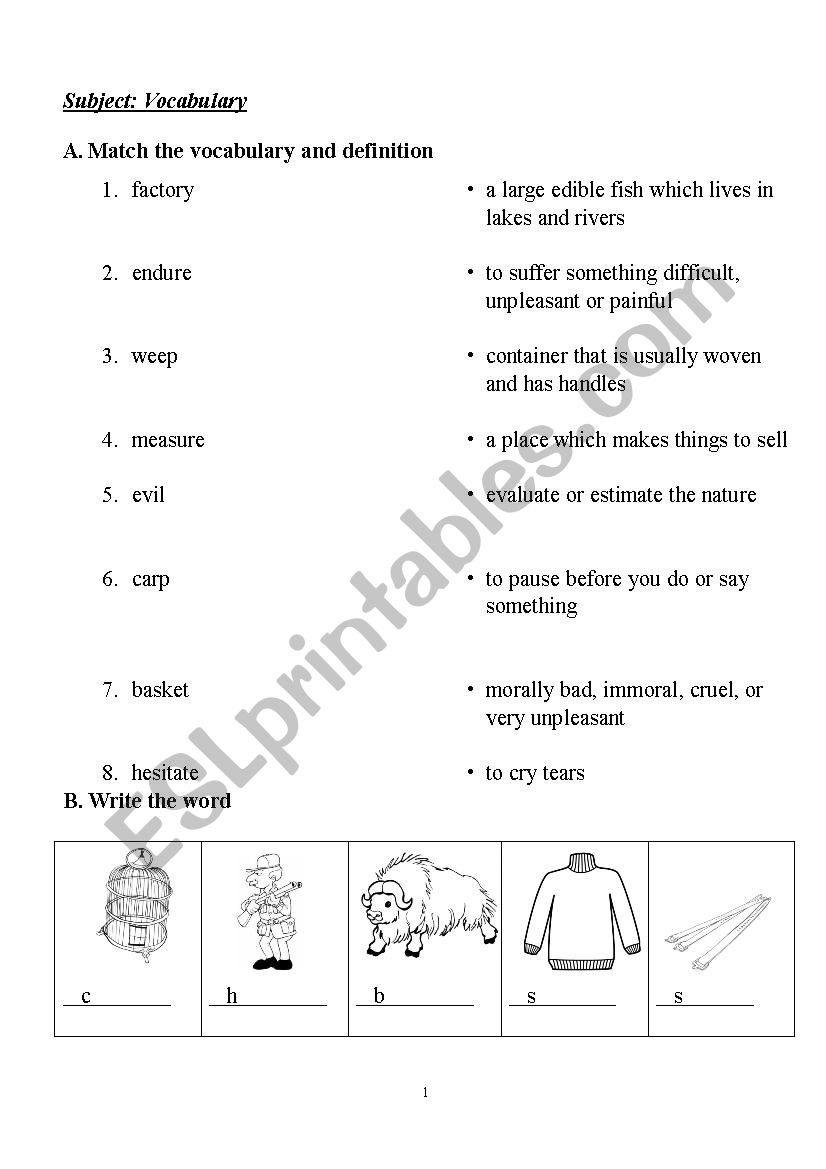 Vocabulary Test worksheet