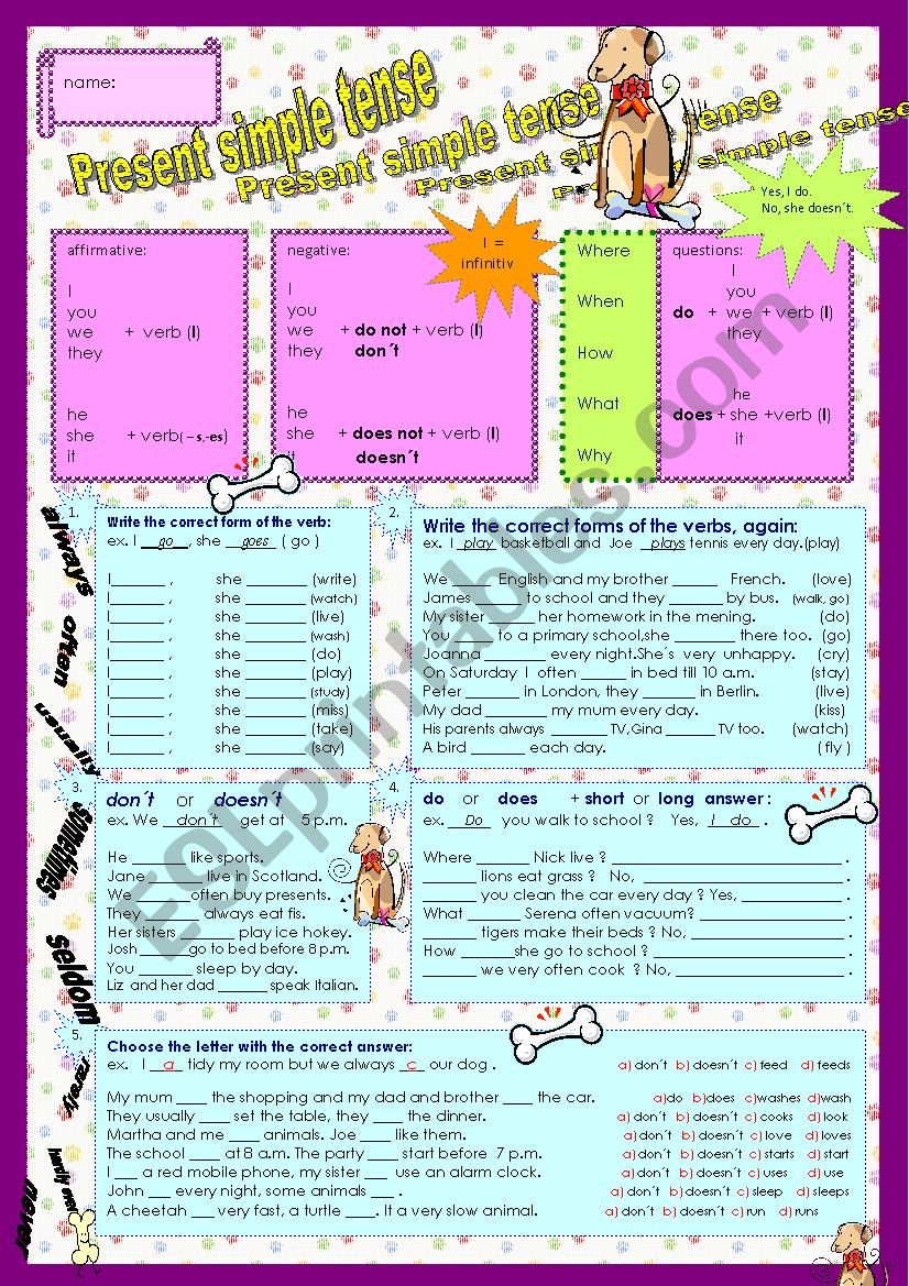 present simple tense worksheet